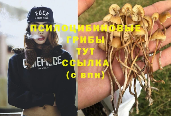 молекула духа Краснослободск