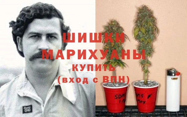 трава Козловка