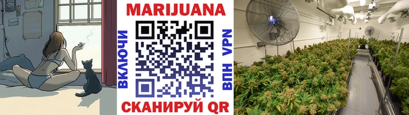 Купить Гулькевичи Шишки марихуана VHQ